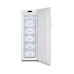 Морозильный шкаф Gorenje FN4171CW