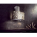 Вытяжка Falmec Mirabilia 67 MOONLIGHT vetro (800) Вытяжка Falmec Mirabilia 67 MOONLIGHT vetro (800)