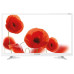 Телевизор Tele Funke n TF-LED24S71T2