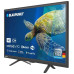 Телевизор Blaupunkt 24HB5000T