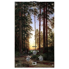 Газовый проточный водонагреватель Vatti LR20-EGED лес