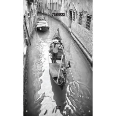 Газовый проточный водонагреватель Zanussi GWH 10 Fonte Glass Venezia