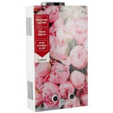 Газовый проточный водонагреватель ARIDEYA JSD 20 G1 P Пионы