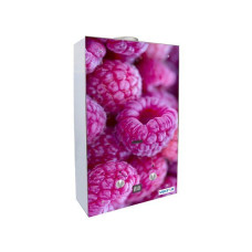 Газовый проточный водонагреватель VEKTOR 10 G малина