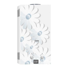 Газовый проточный водонагреватель VEKTOR 10 G стекло картинка Ромашка