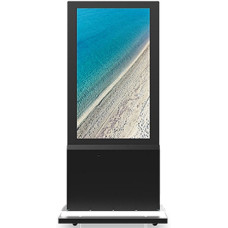 Панель Acer DD550Abi