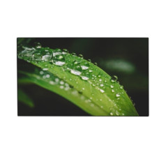 Панель Dahua DHI-LS550UEM-UG