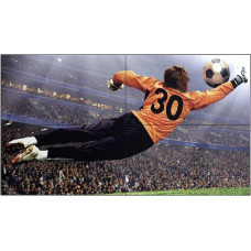 Панель LG 49VL5G-M