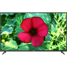 Телевизор Hartens HTV-55F01-TS2C/A7/B