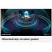 Телевизор Samsung QE65QN85CAUXCE