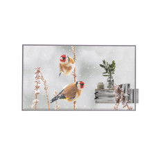 Панель LG 55EW5P-M