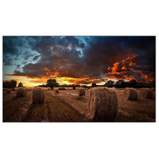 Панель Samsung LH46VMBUBGBXCI Панель Samsung LH46VMBUBGBXCI