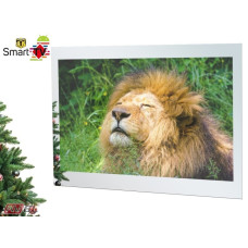 Телевизор Avel AVS755SM , Mirror  РУТ