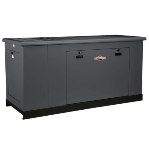 Генератор газовый Briggs&Stratton G360 (29 kW)