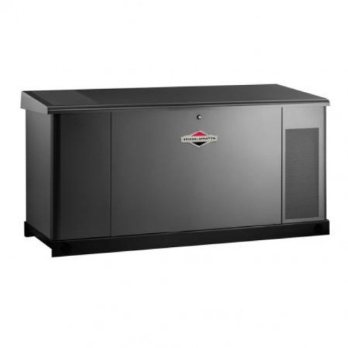 Генератор газовый Briggs&Stratton G310 (25 kW)